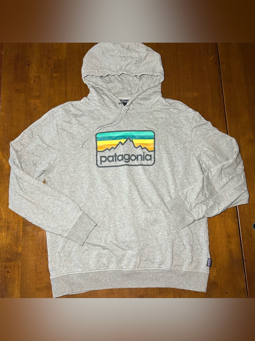 Patagonia Hoodie with Rainbow Logo
